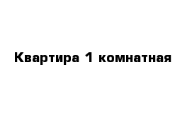 Квартира 1 комнатная 